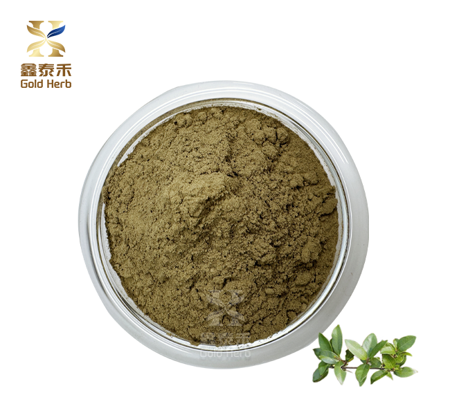 Gymnema sylvestre extract powder